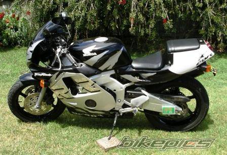Photo 253591