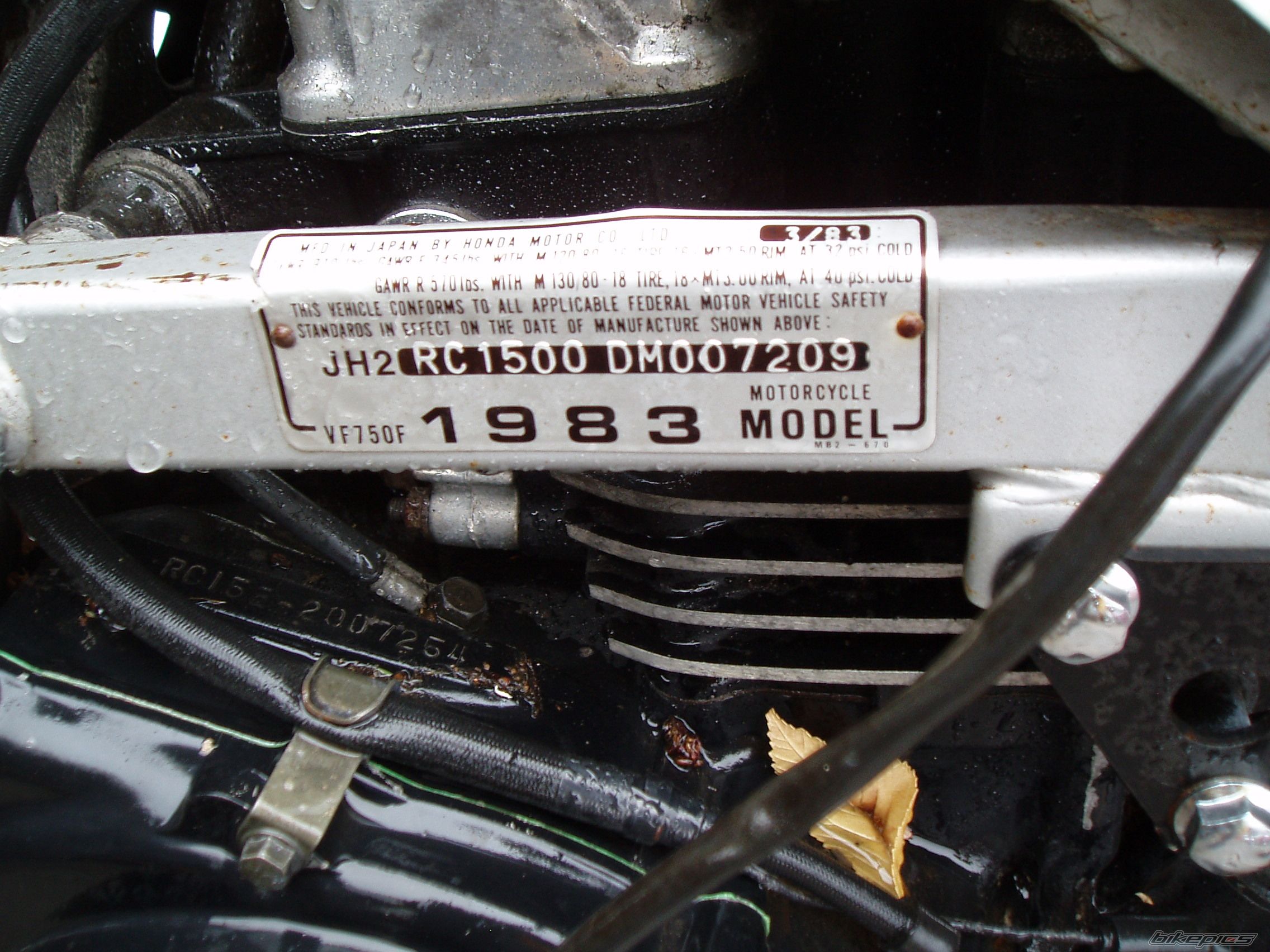 Photo 2535981