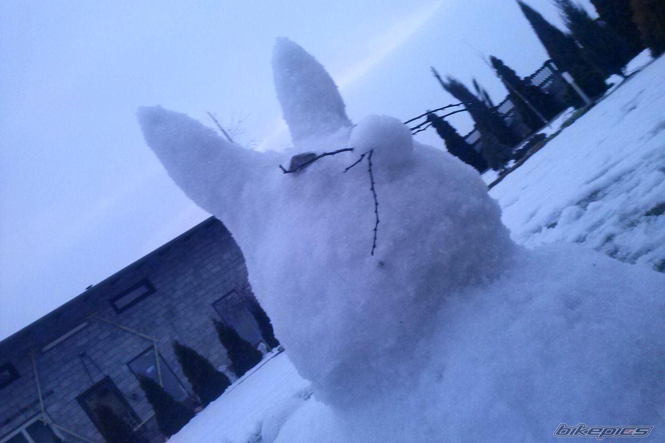 Photo 2536012