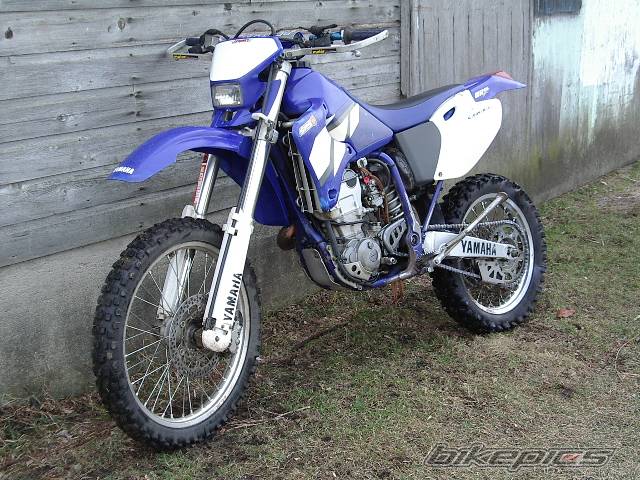 Photo 253603