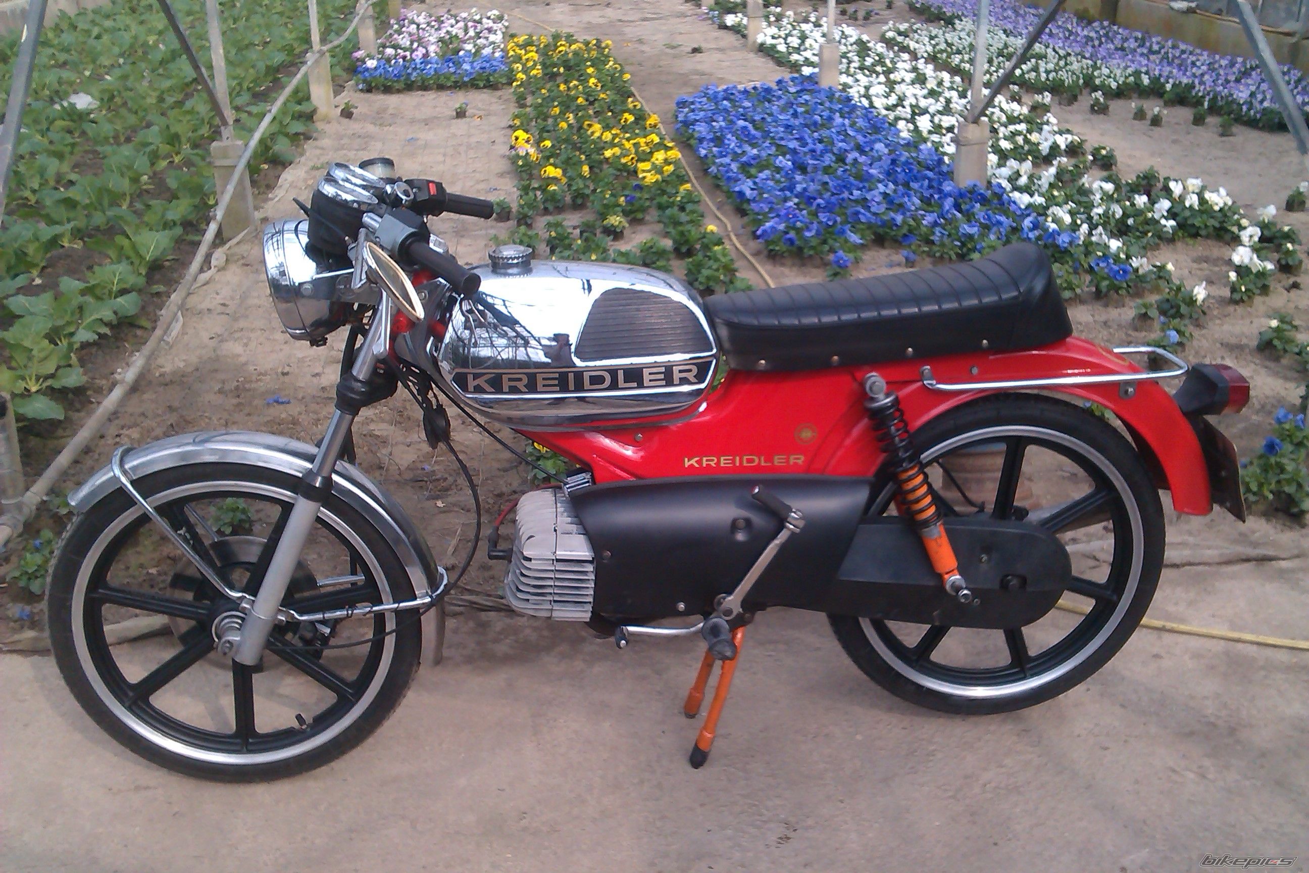 Photo 2536043