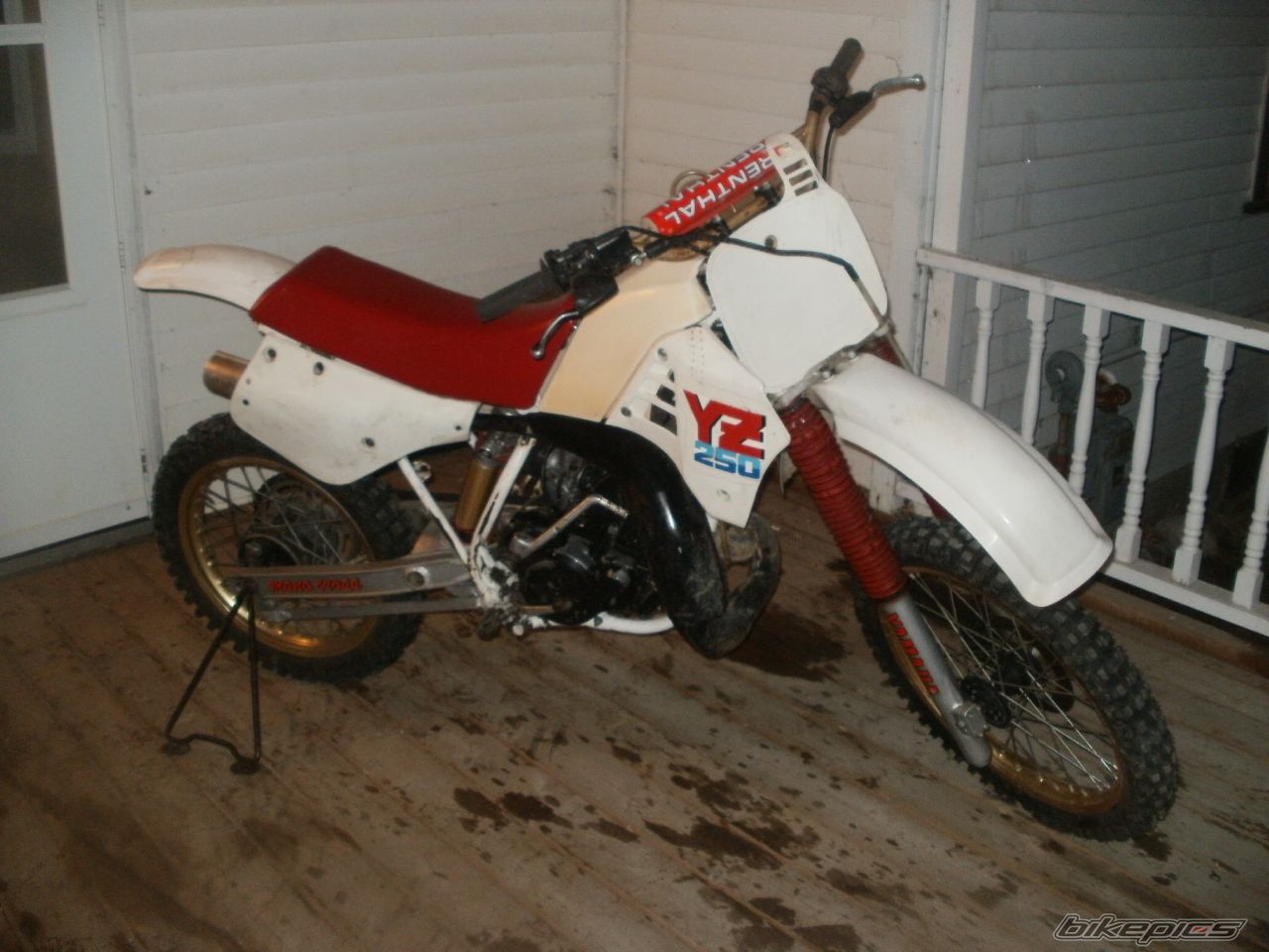 Photo 2536093