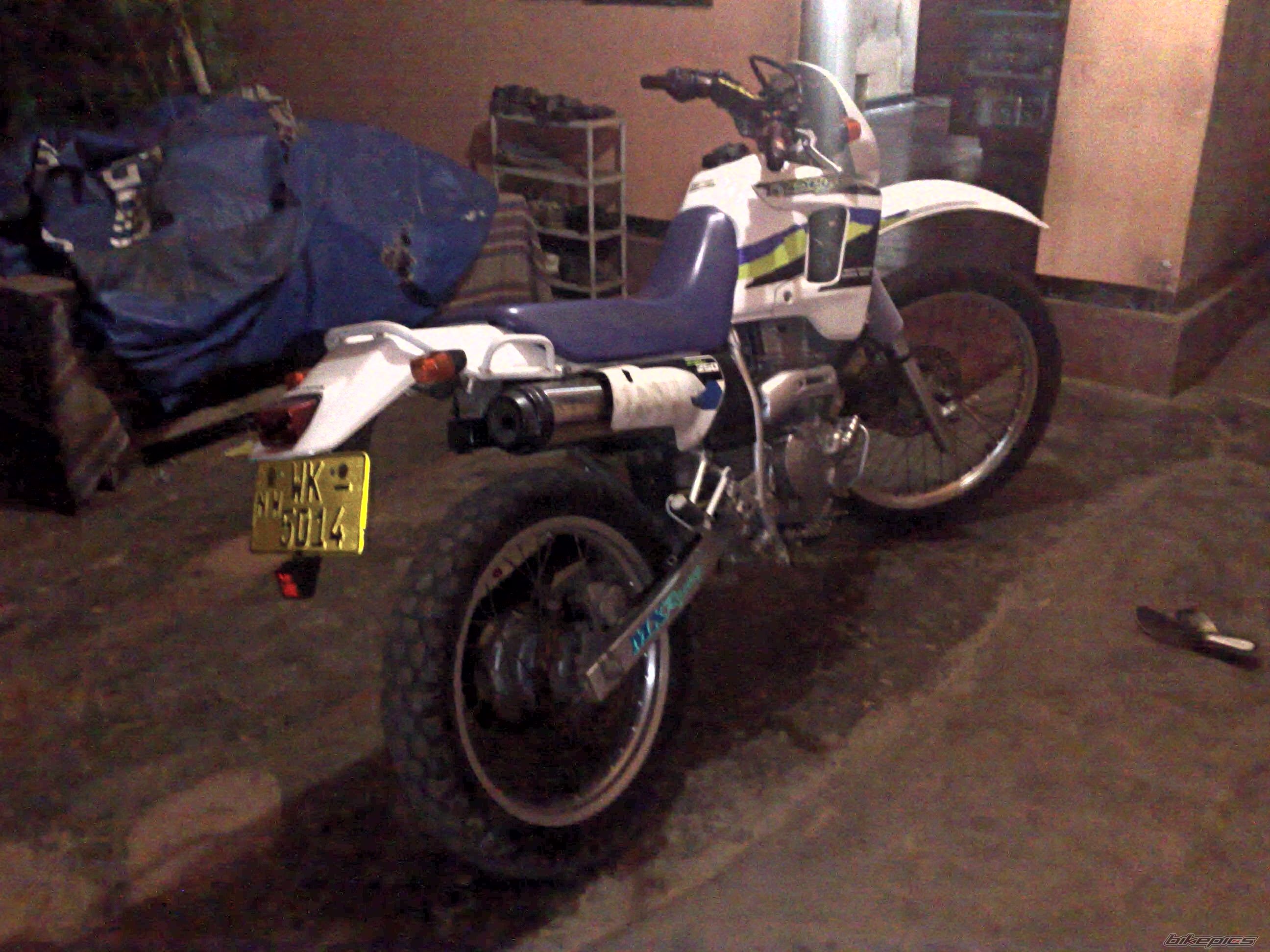 Photo 2536132