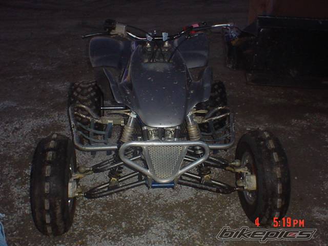 Photo 253625