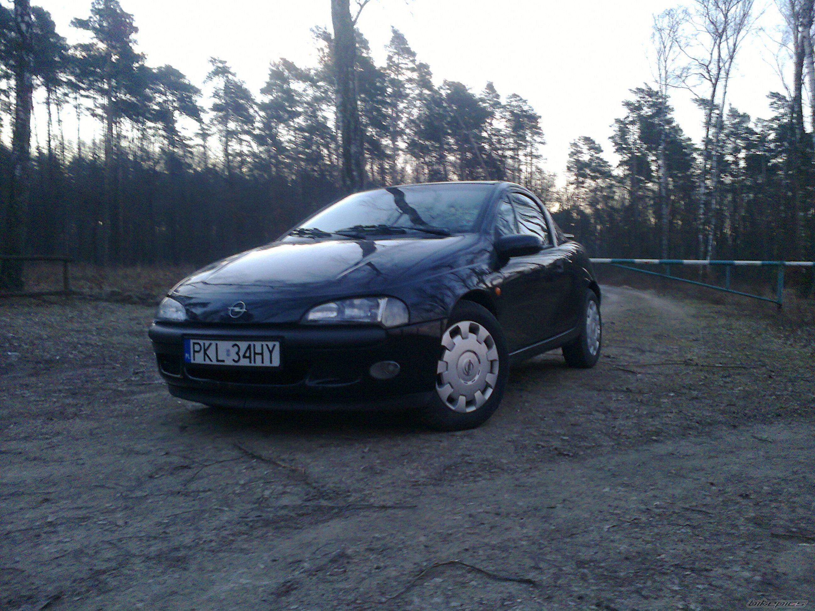 Photo 2536258