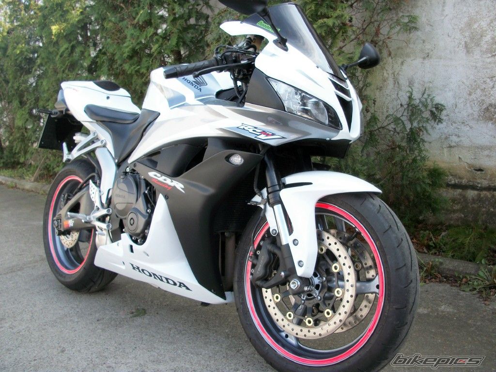Photo 2536261