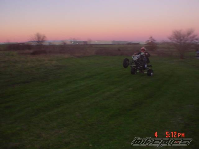 Photo 253628