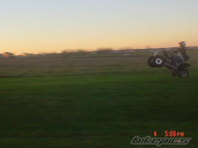 Photo 253630