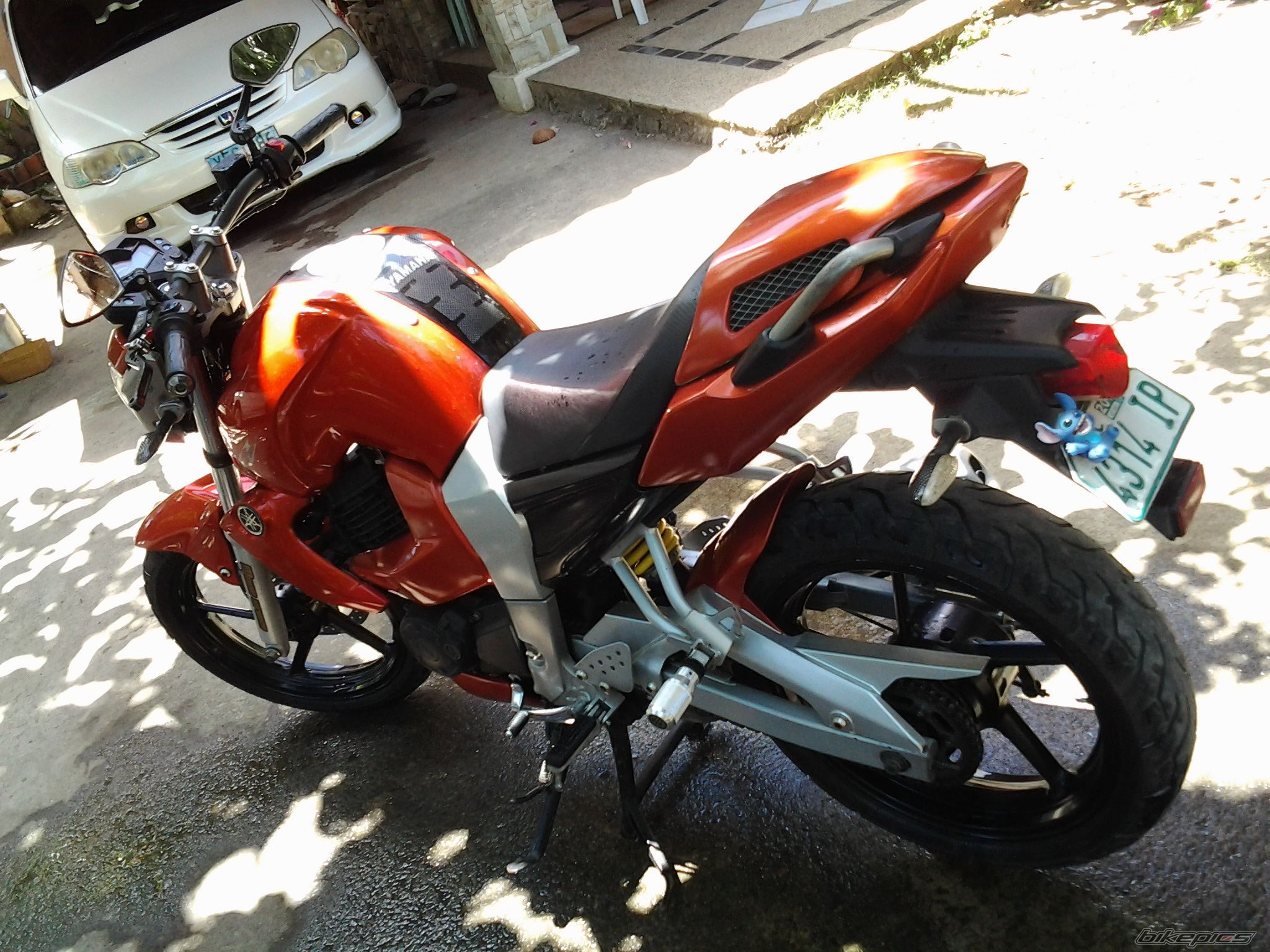 Photo 2536303