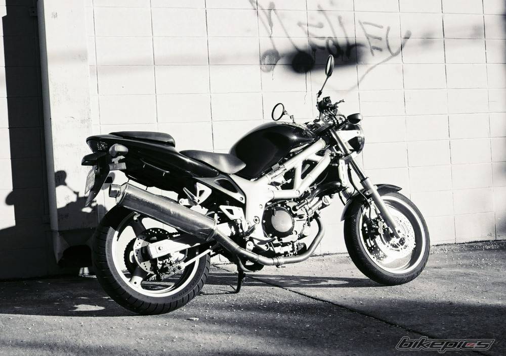 Photo 253634