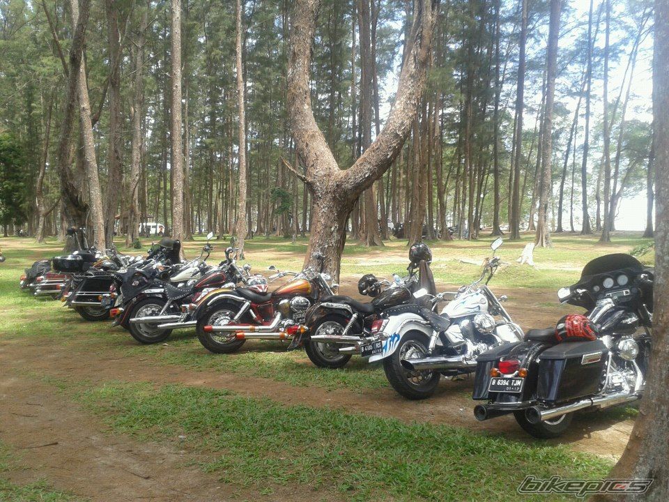 Photo 2536375