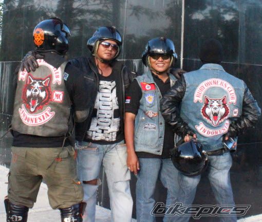 Photo 2536381