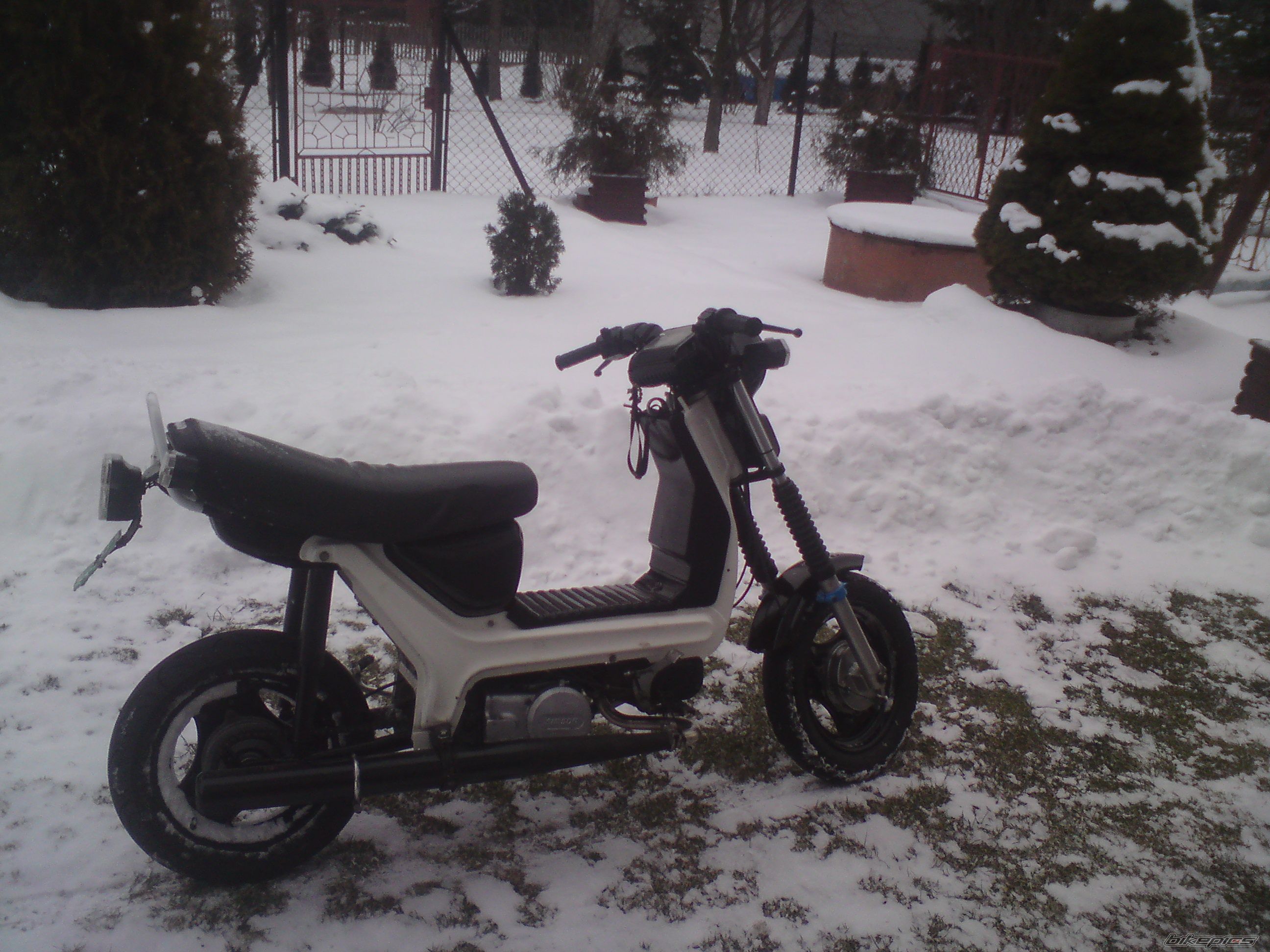 Photo 2536410