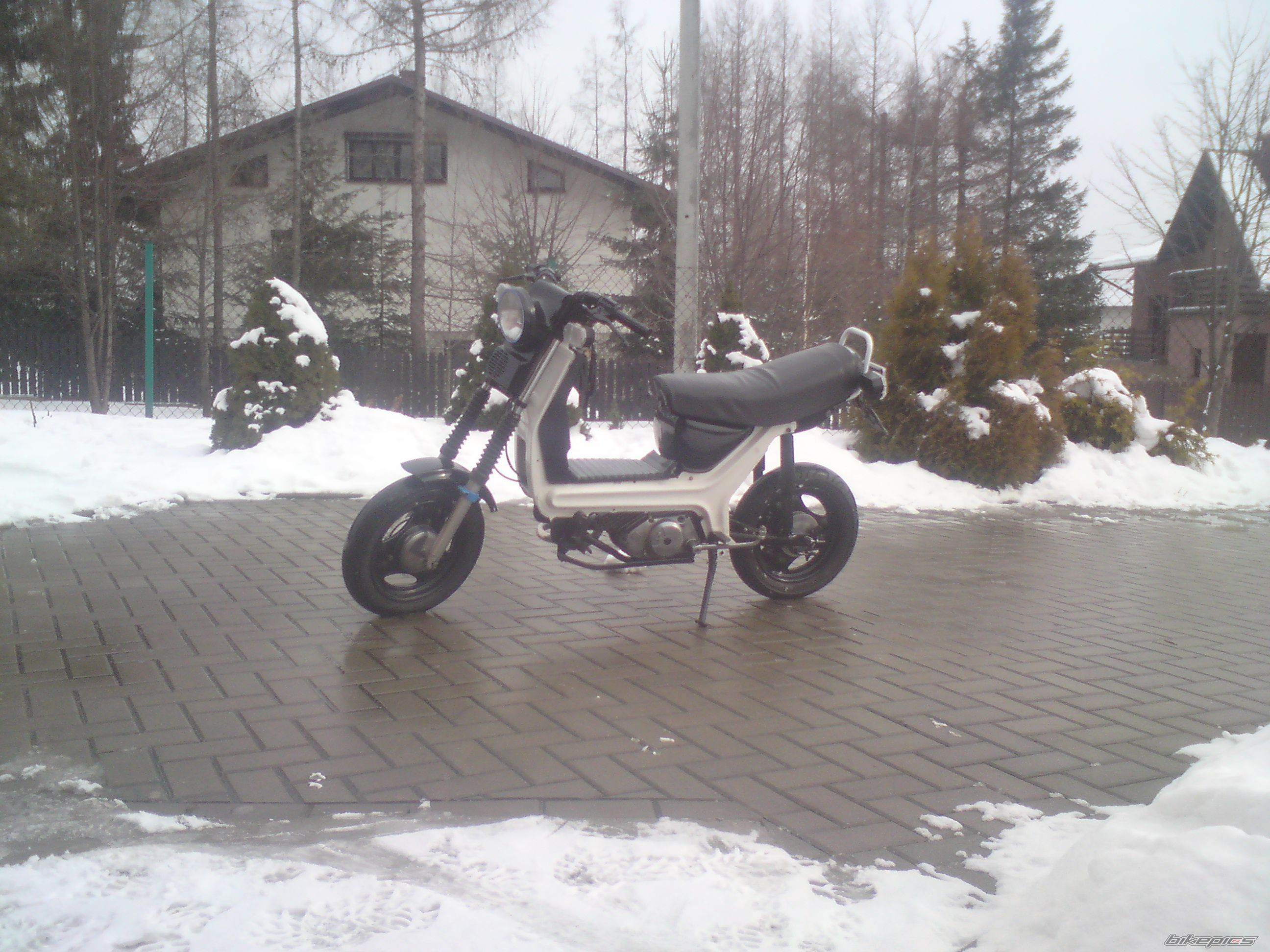 Photo 2536411