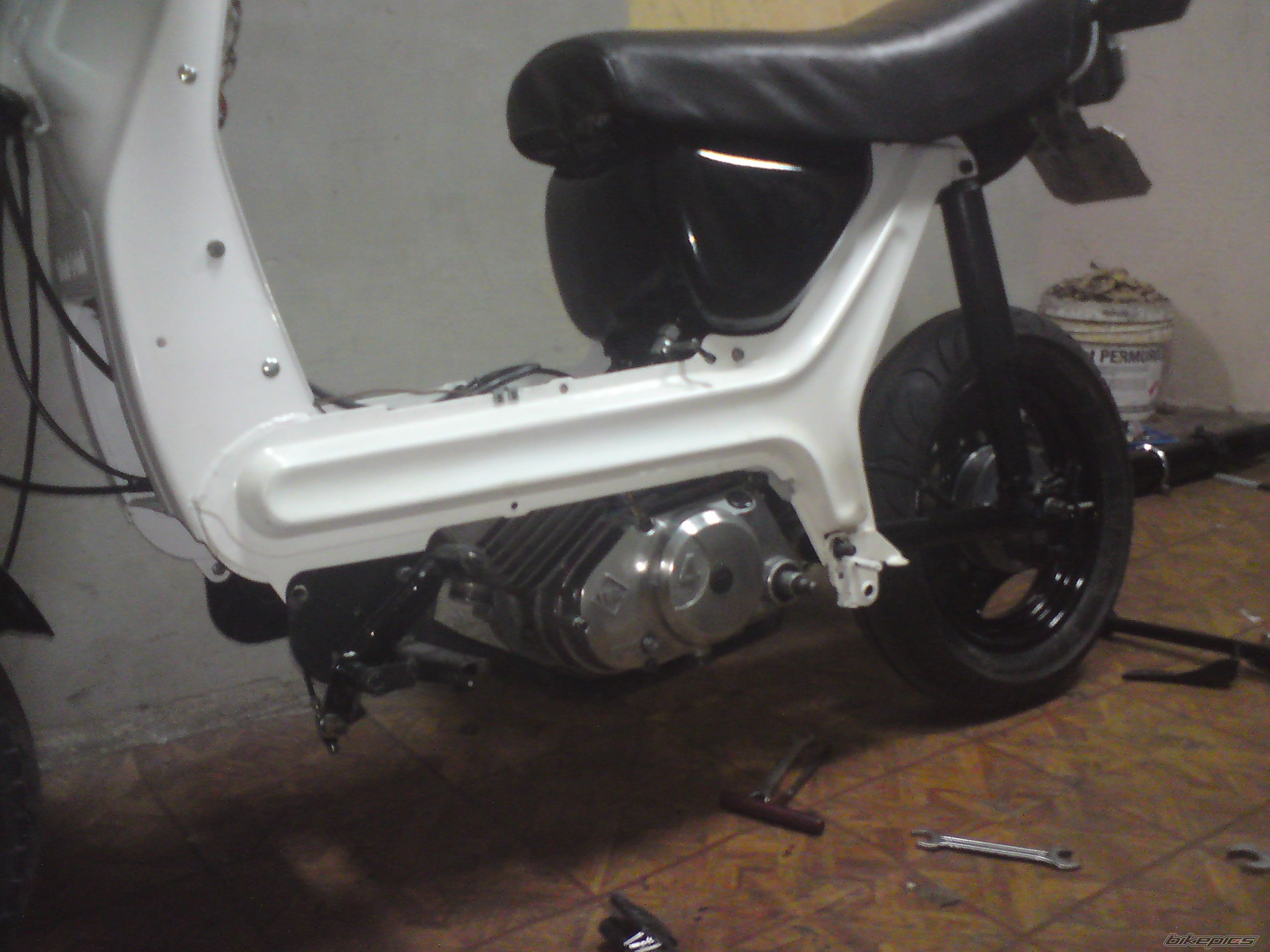 Photo 2536413