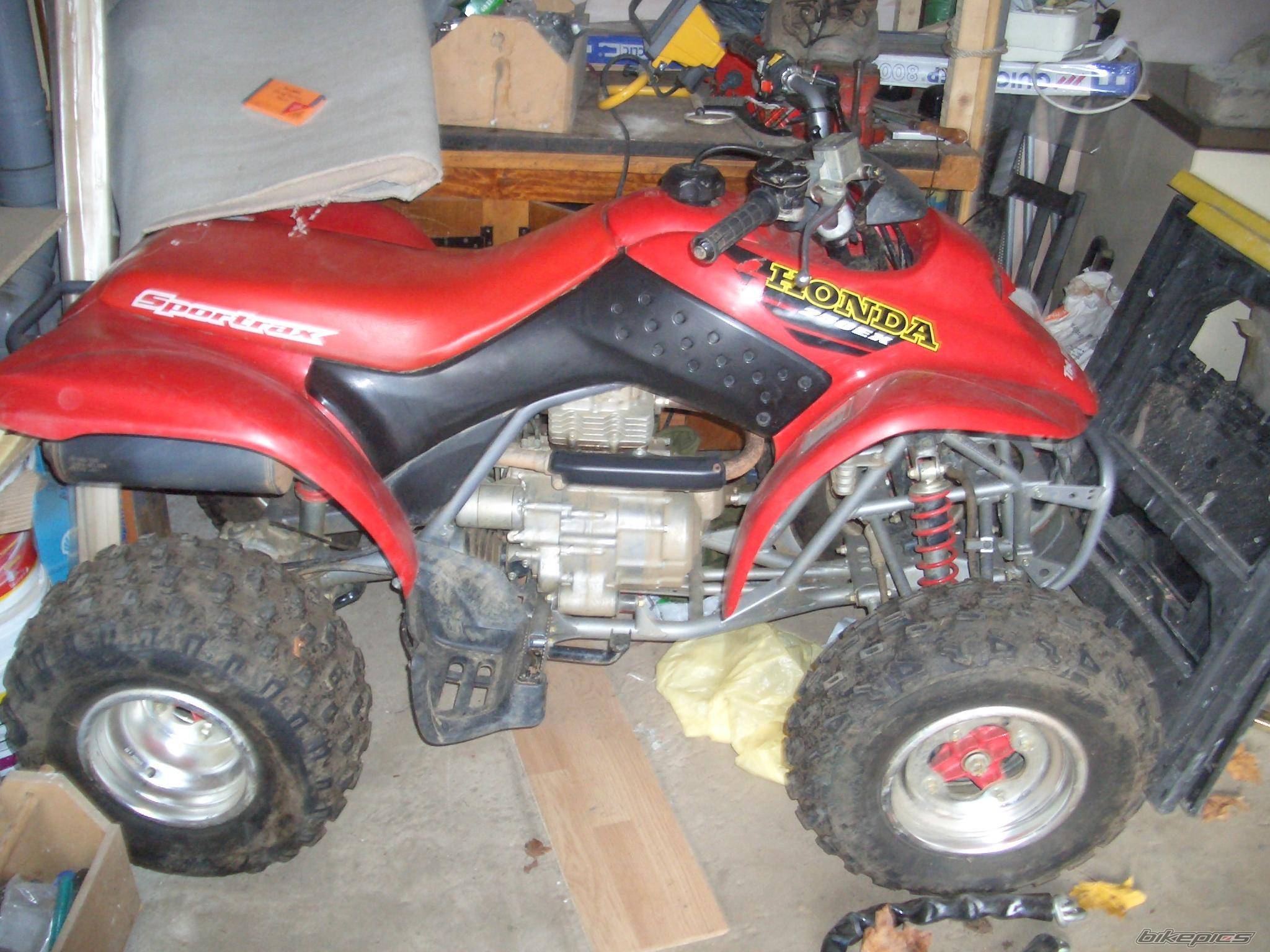 Photo 253654
