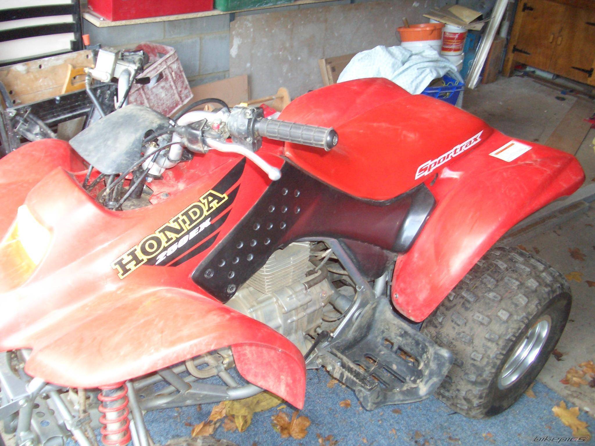 Photo 253655