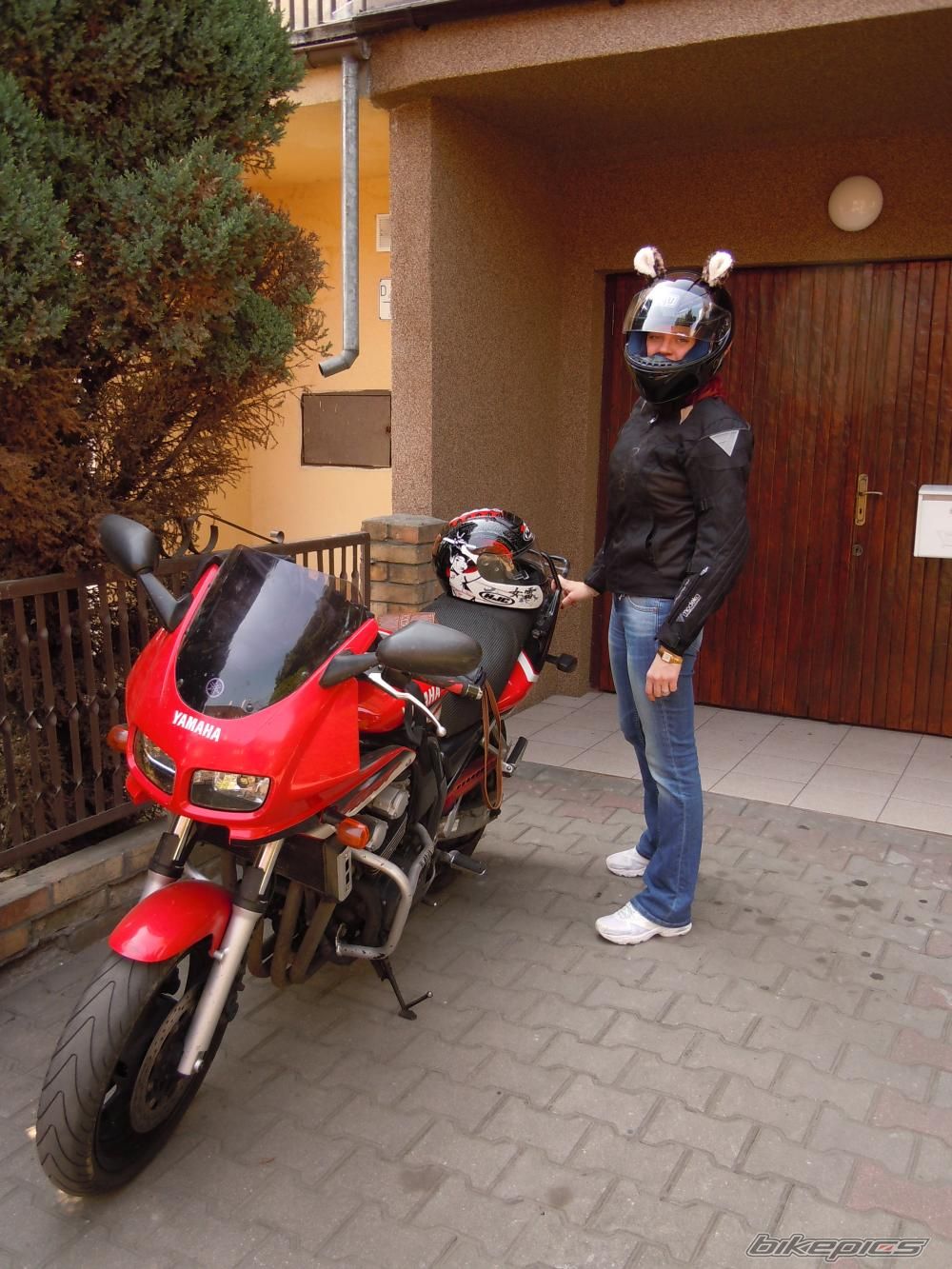 Photo 2536572