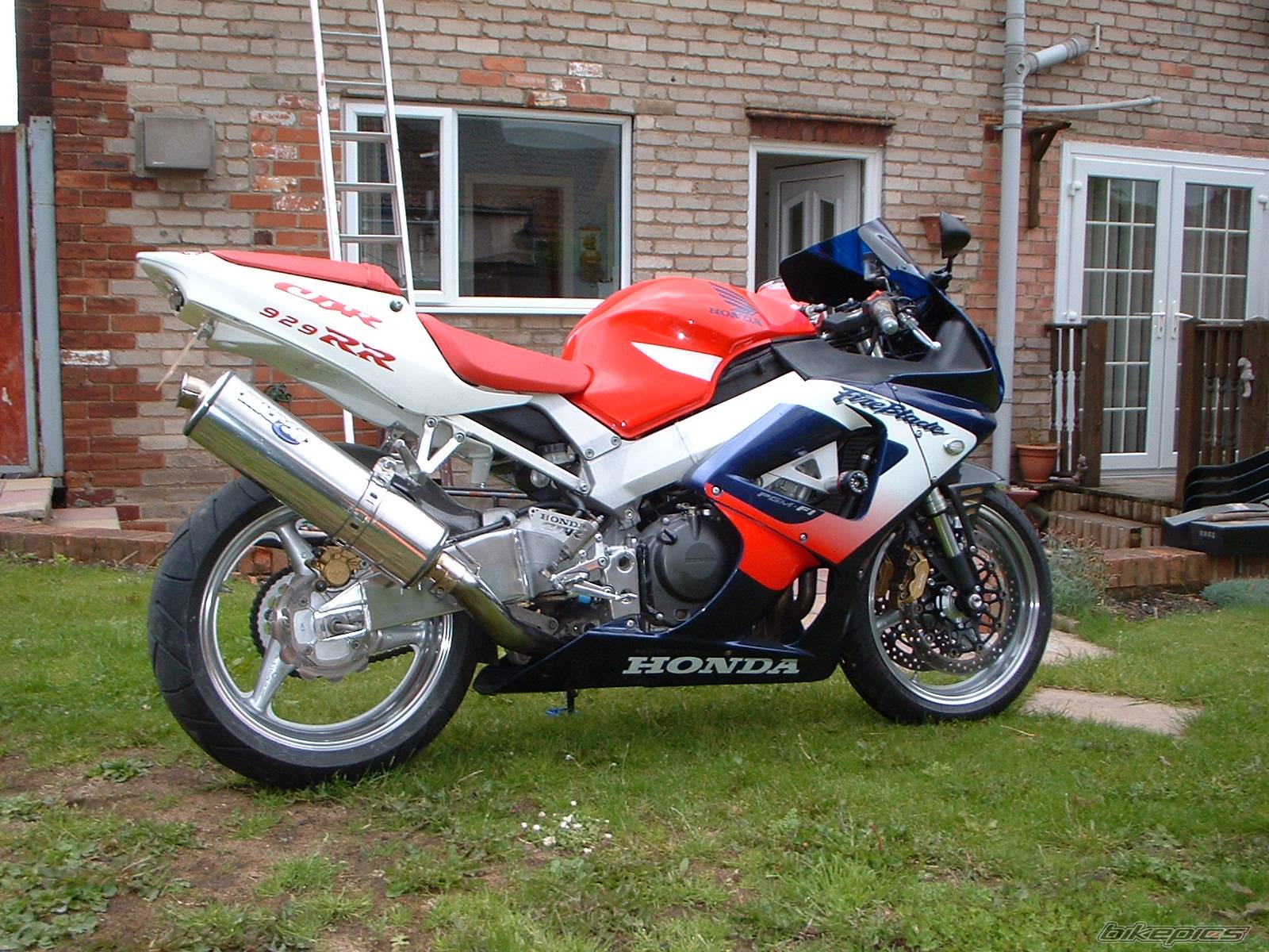 Photo 253668