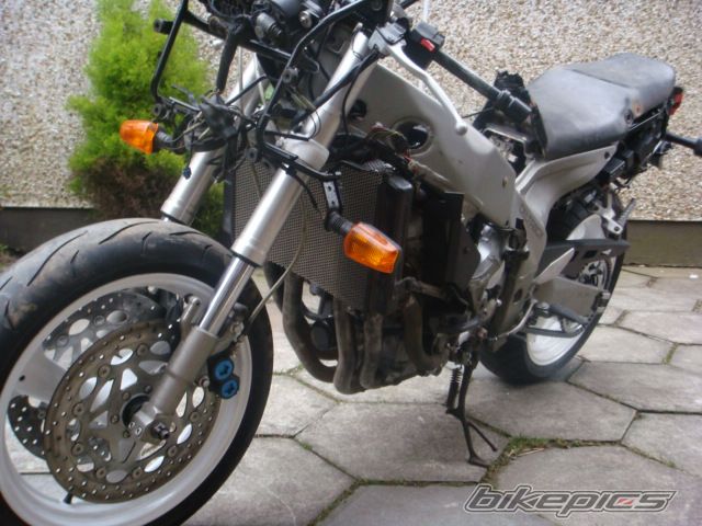Photo 2536773