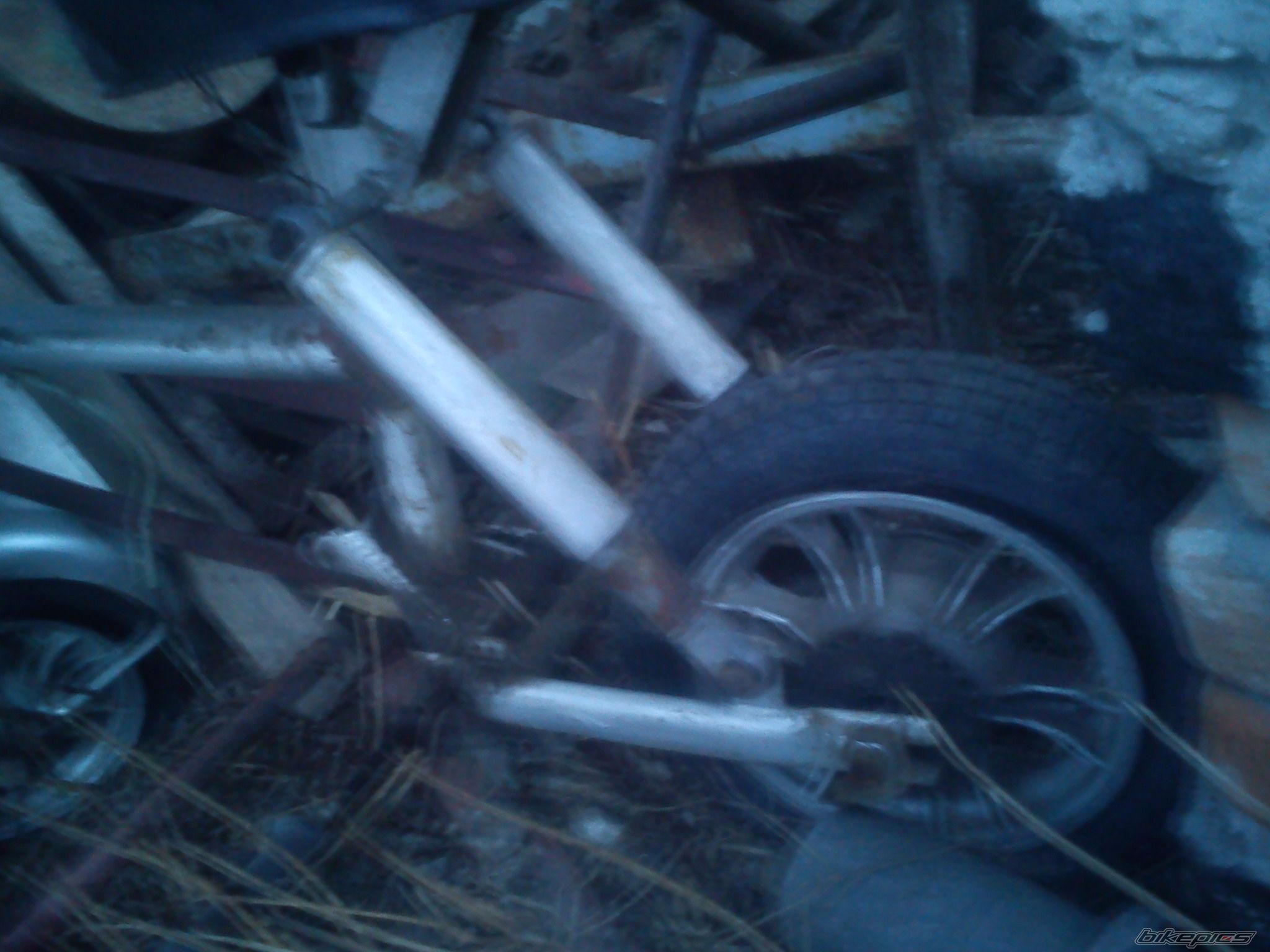 Photo 2536806