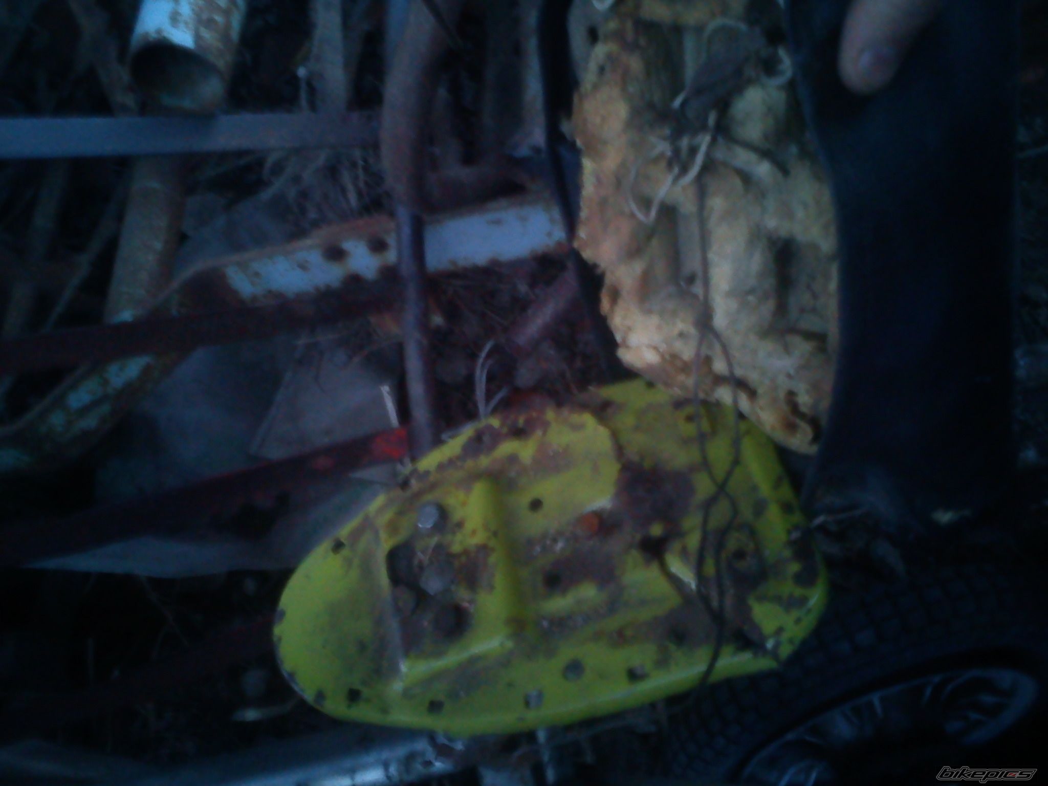 Photo 2536813