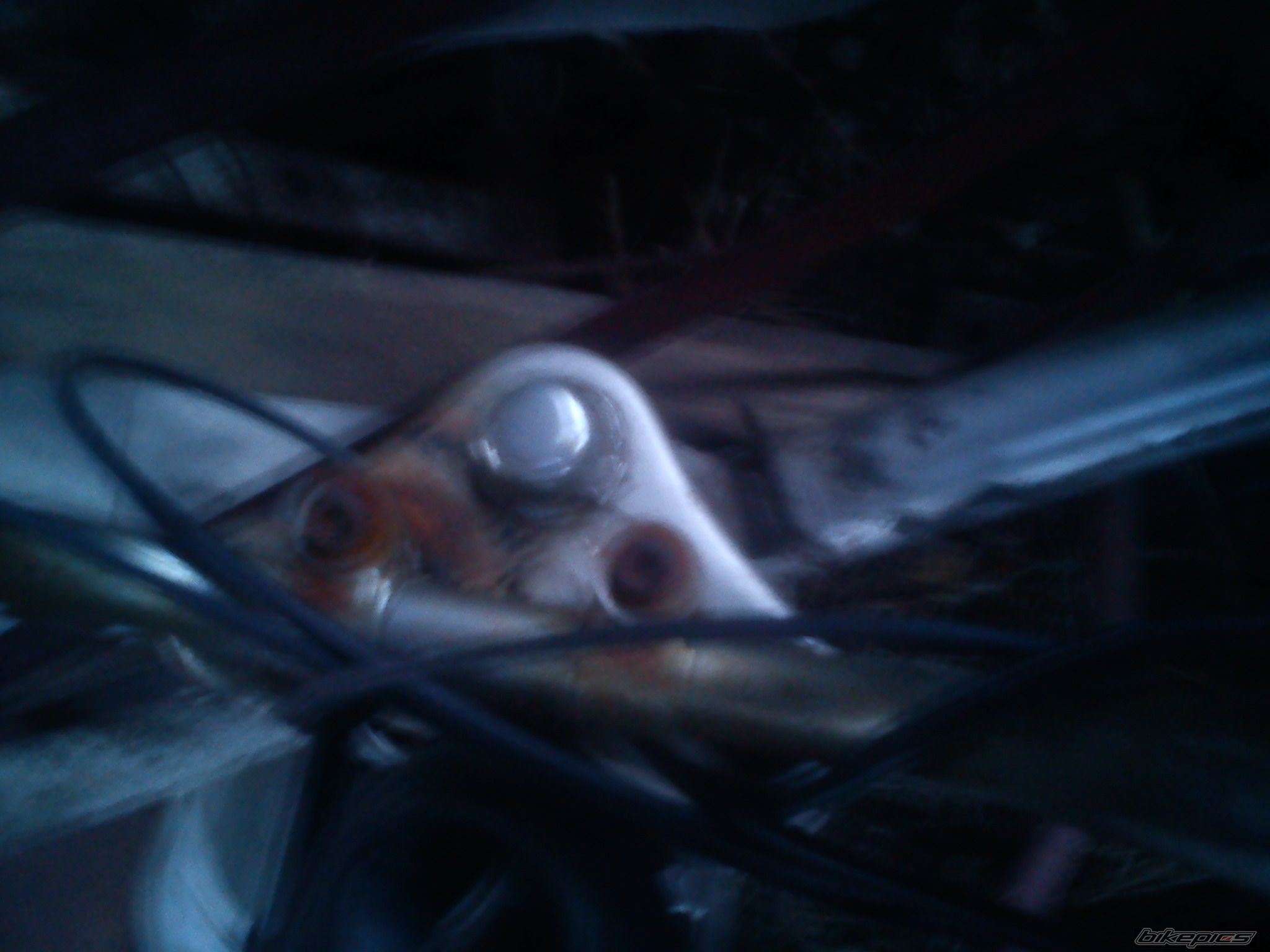 Photo 2536815