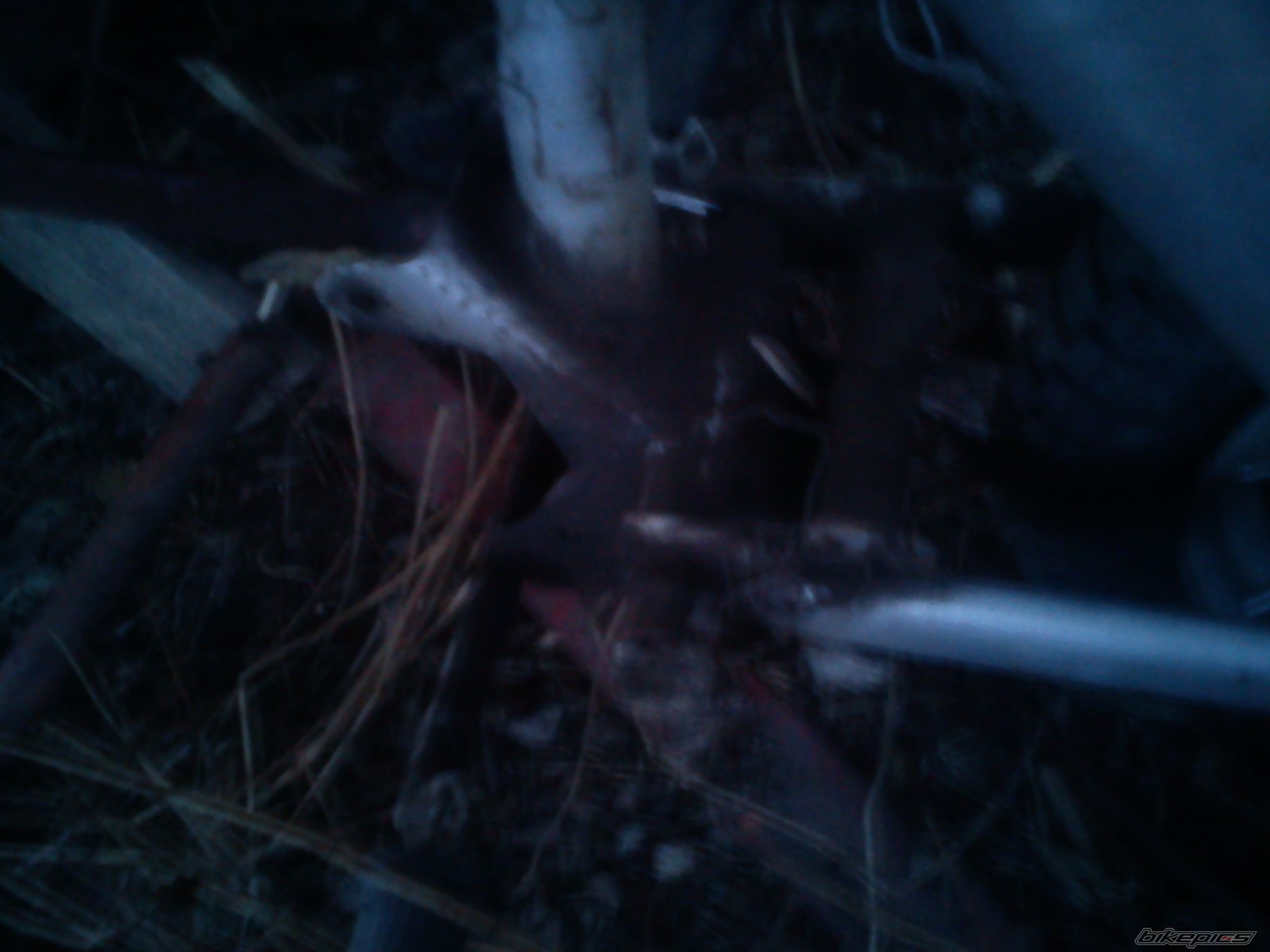 Photo 2536817