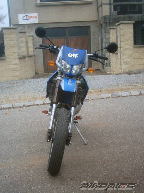 Photo 253683