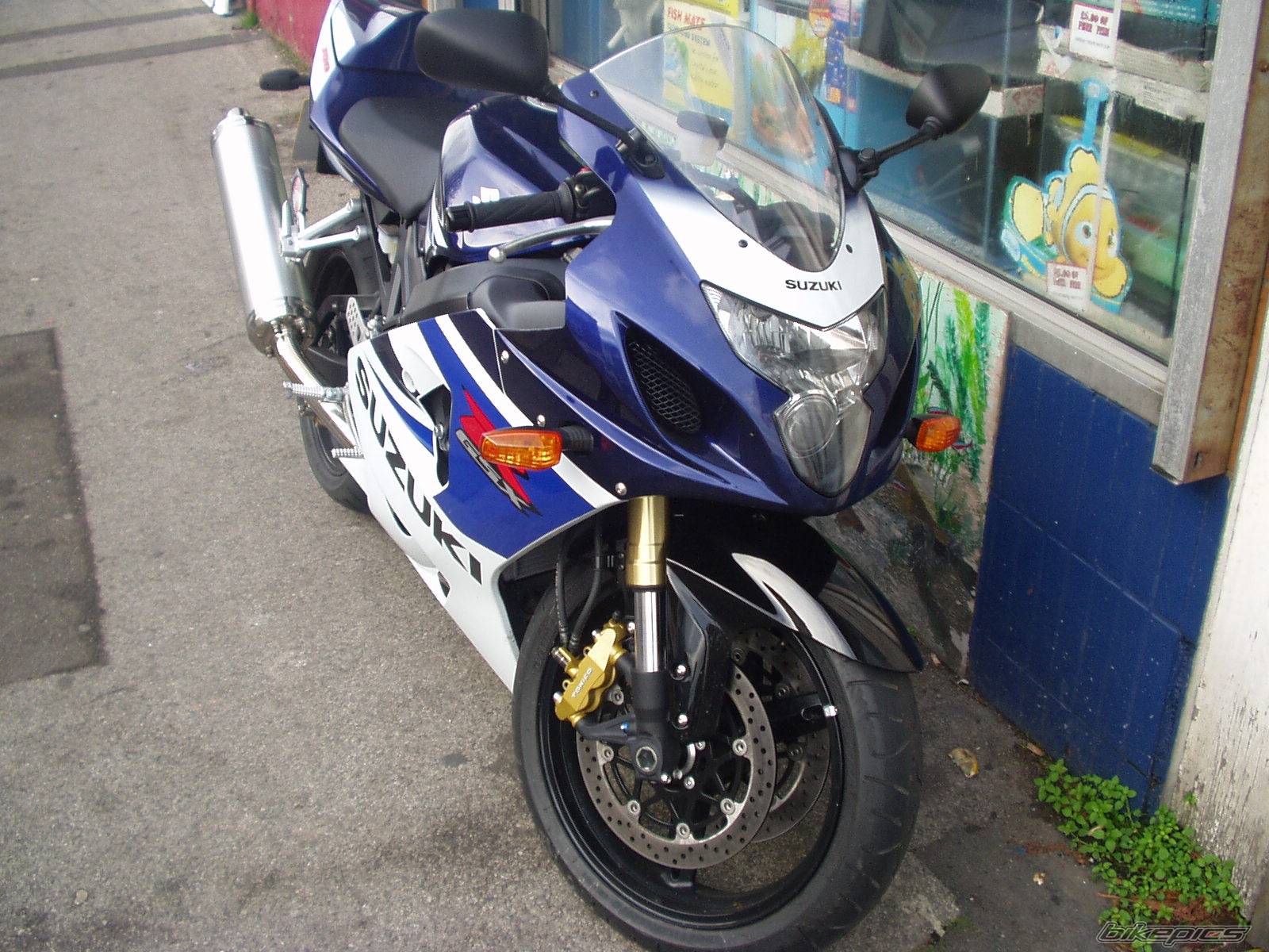 Photo 253695