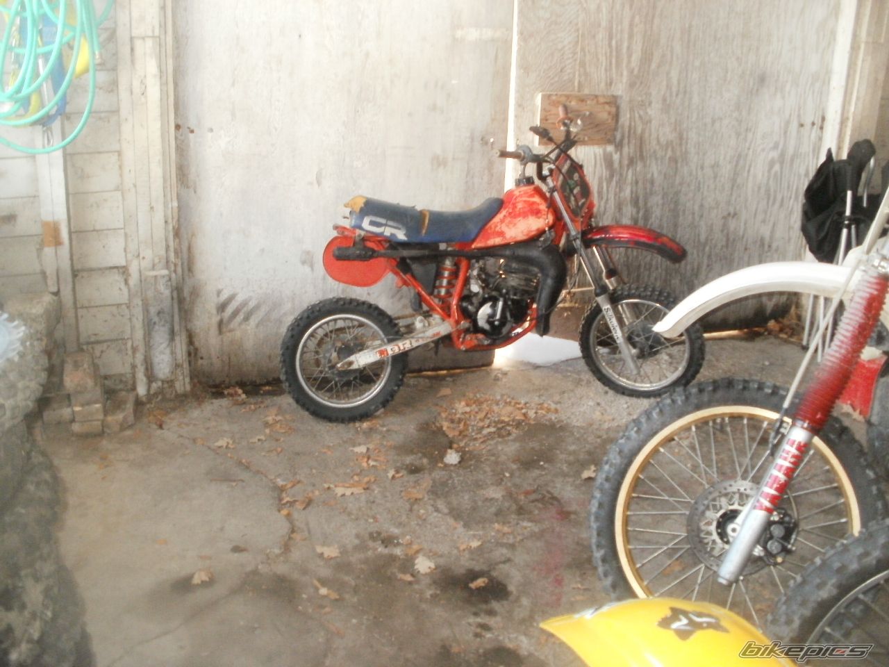 Photo 2536963