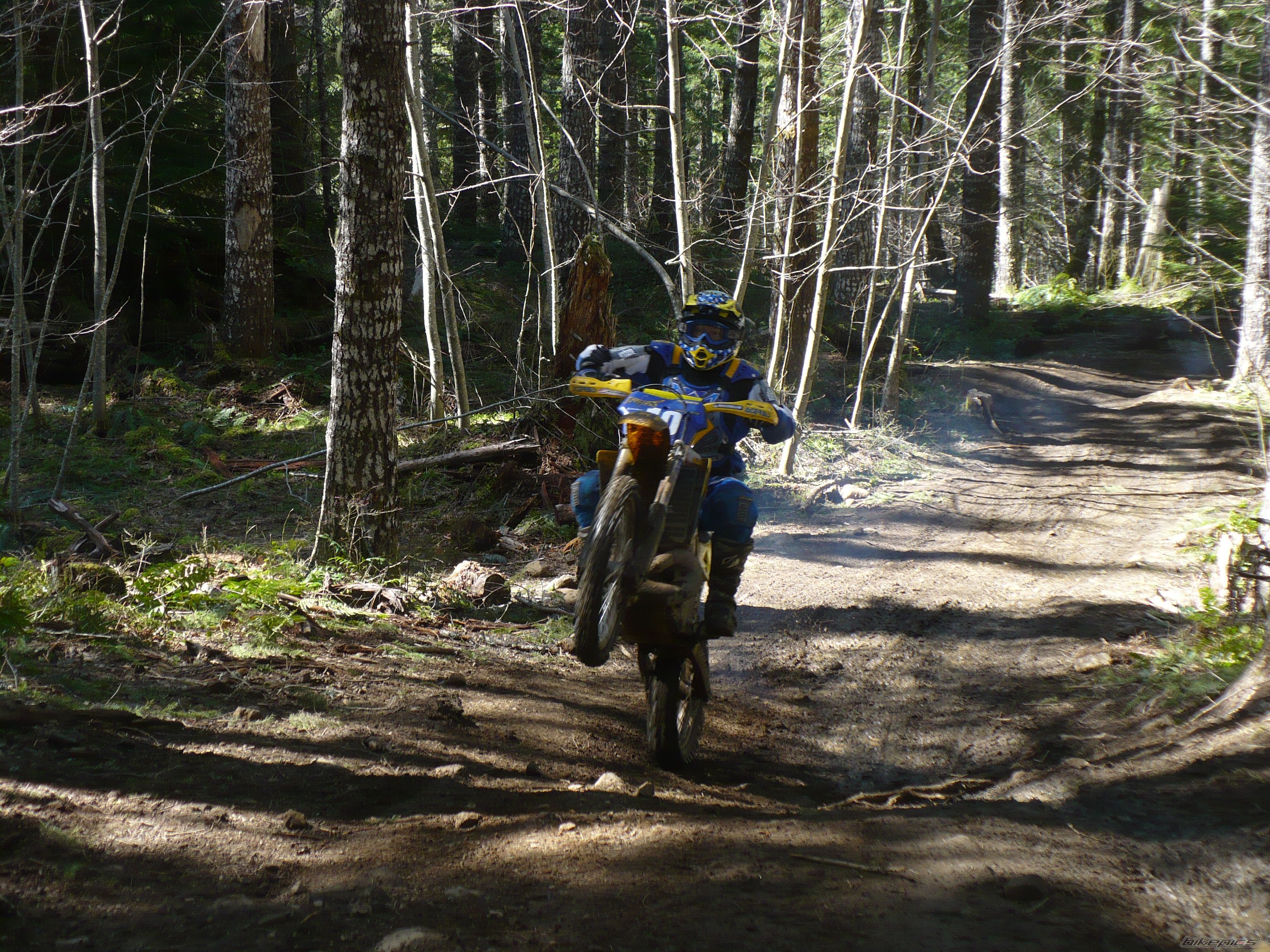 Bike Photo 2537007