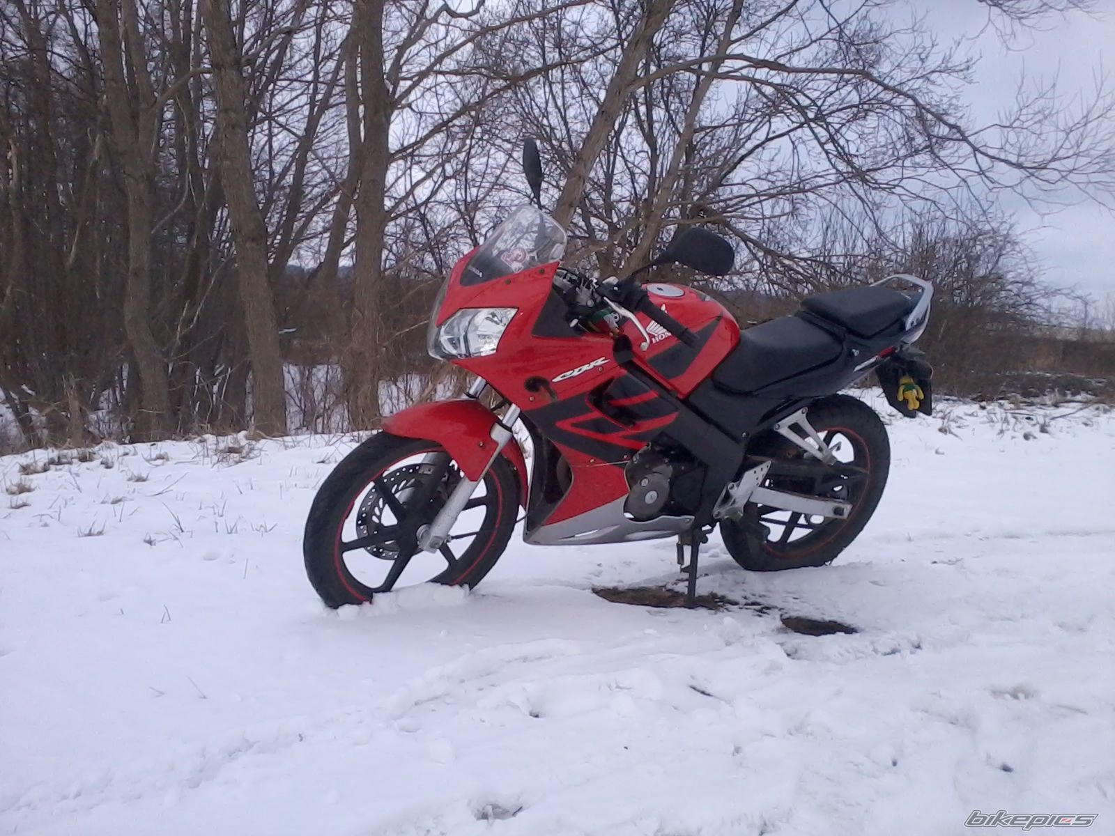 Photo 2537082