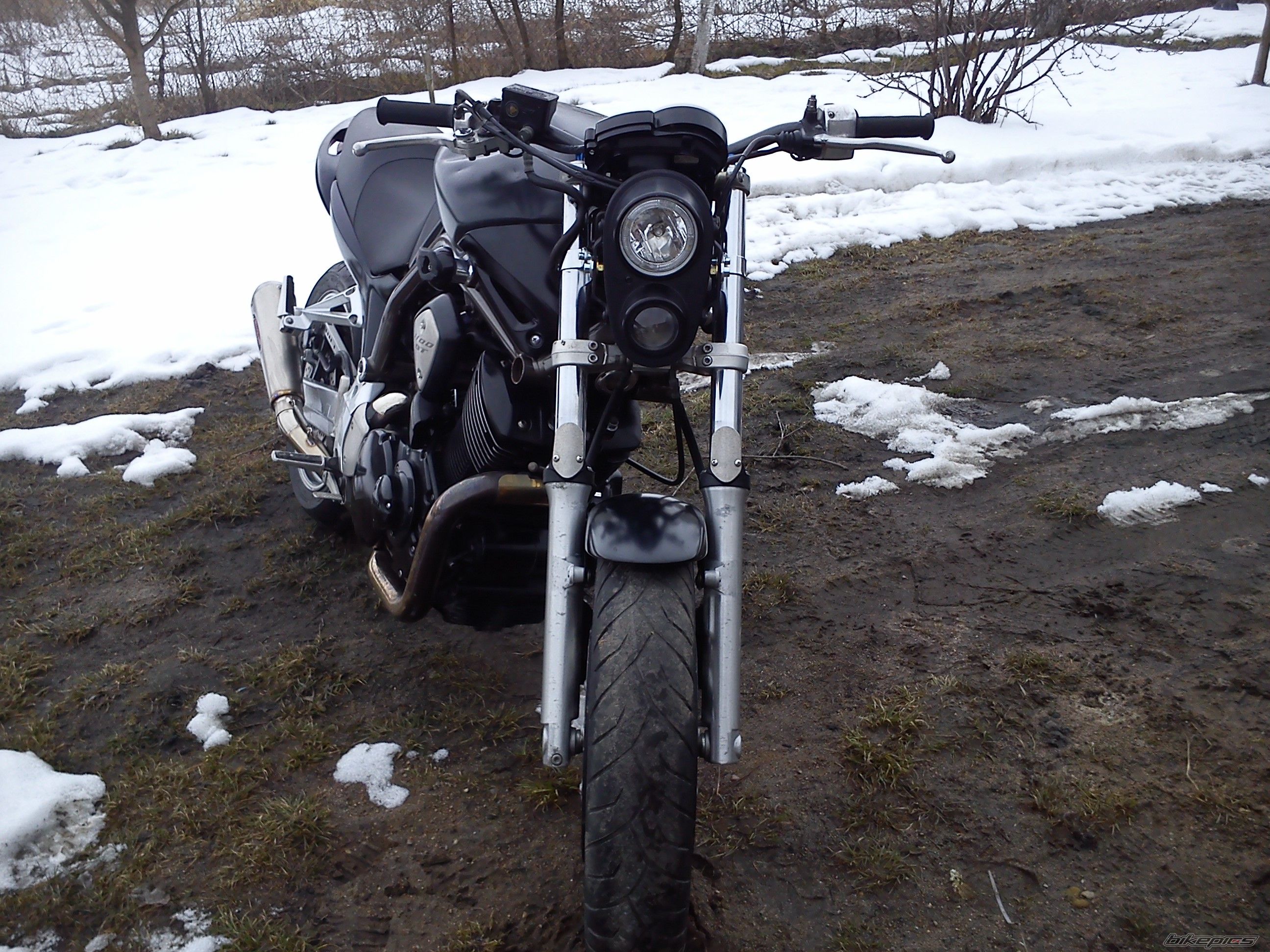 Photo 2537124