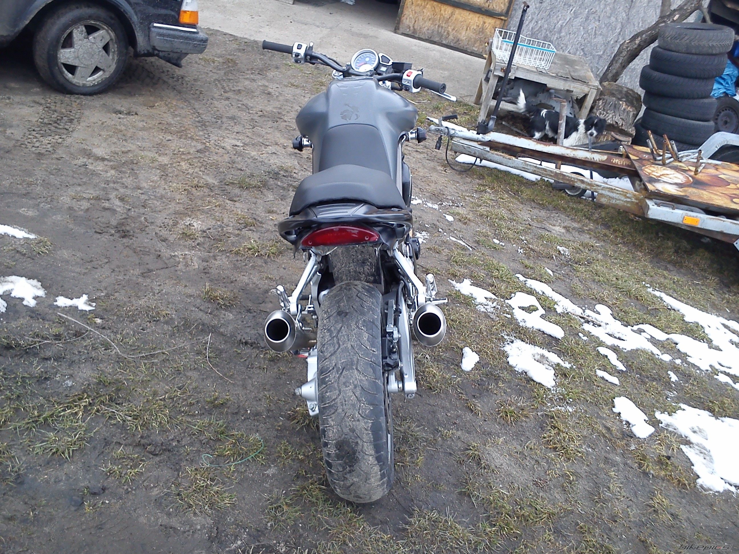Photo 2537131