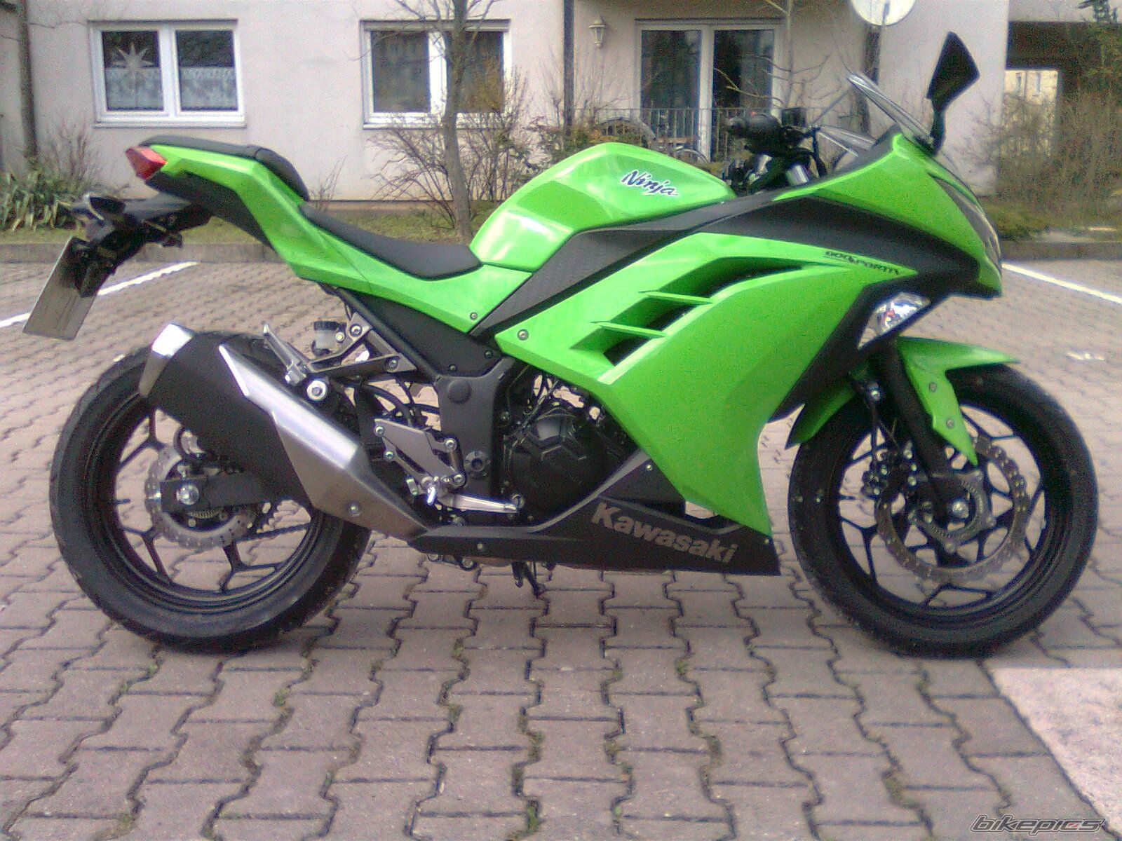 Photo 2537155