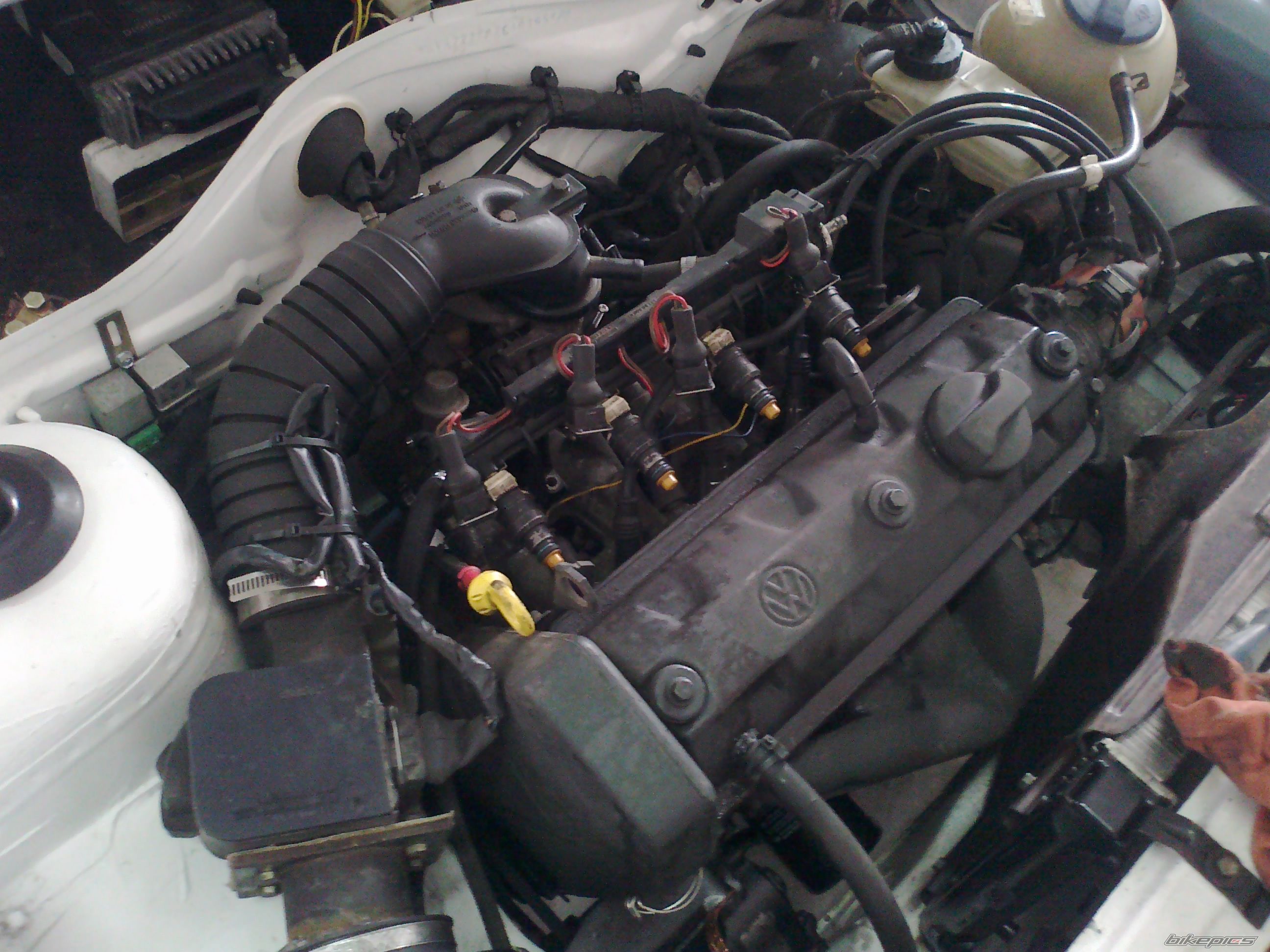 Photo 2537176