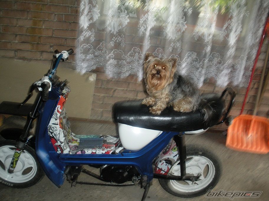 Photo 2537179