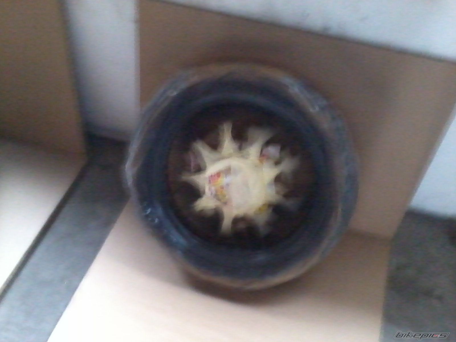 Photo 2537189