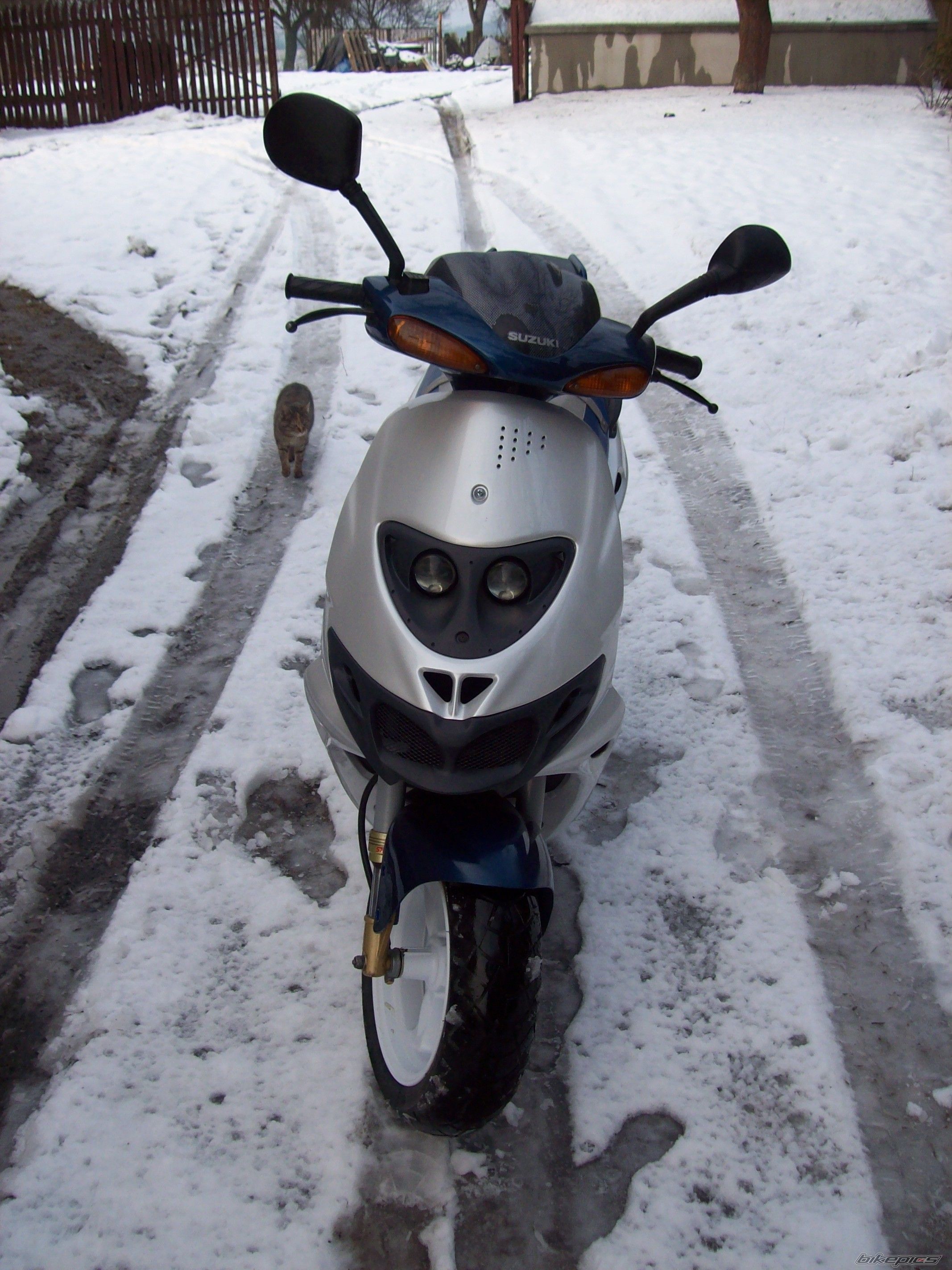 Photo 2537219