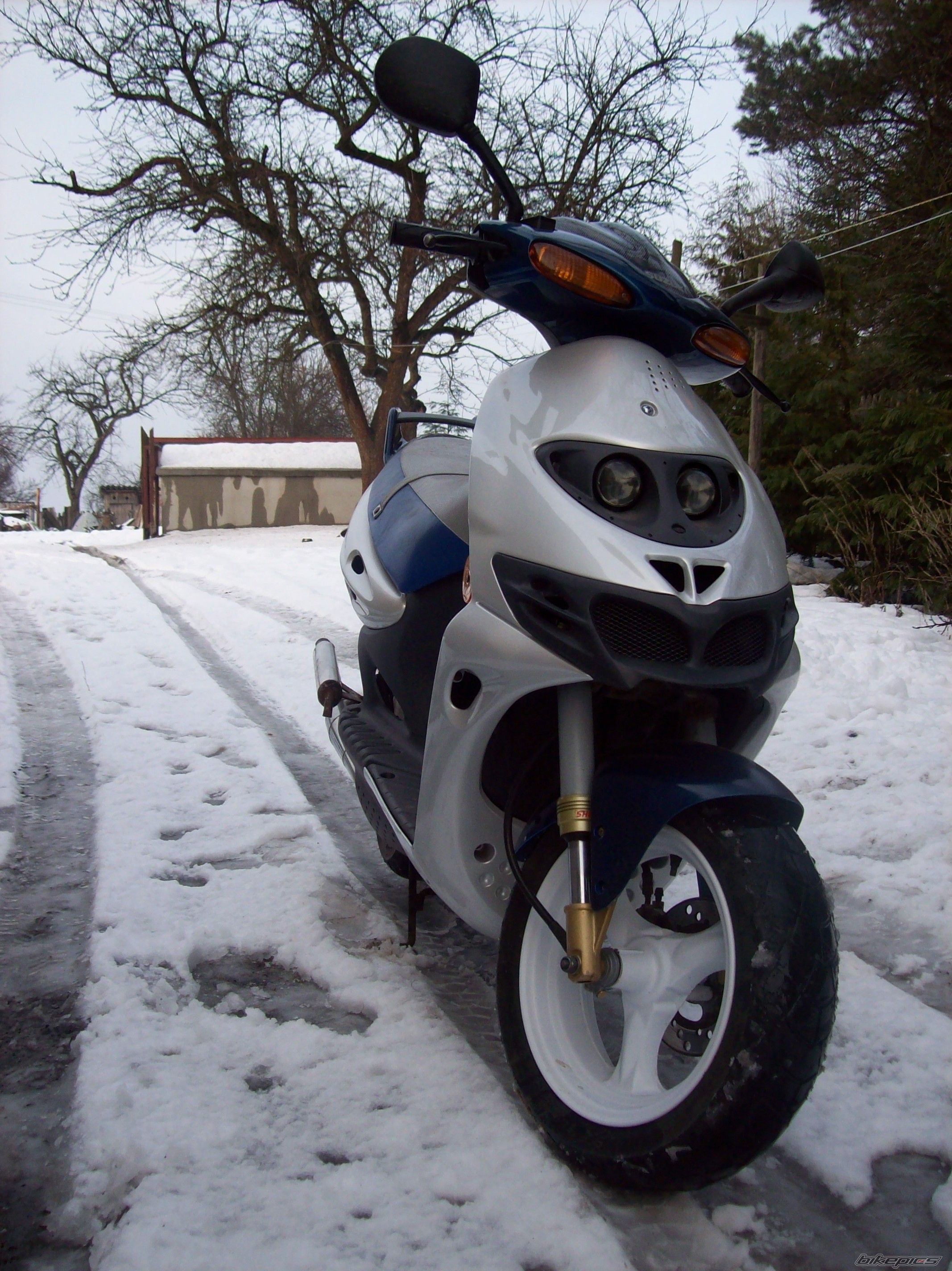 Photo 2537221