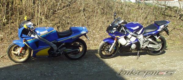 Photo 253726