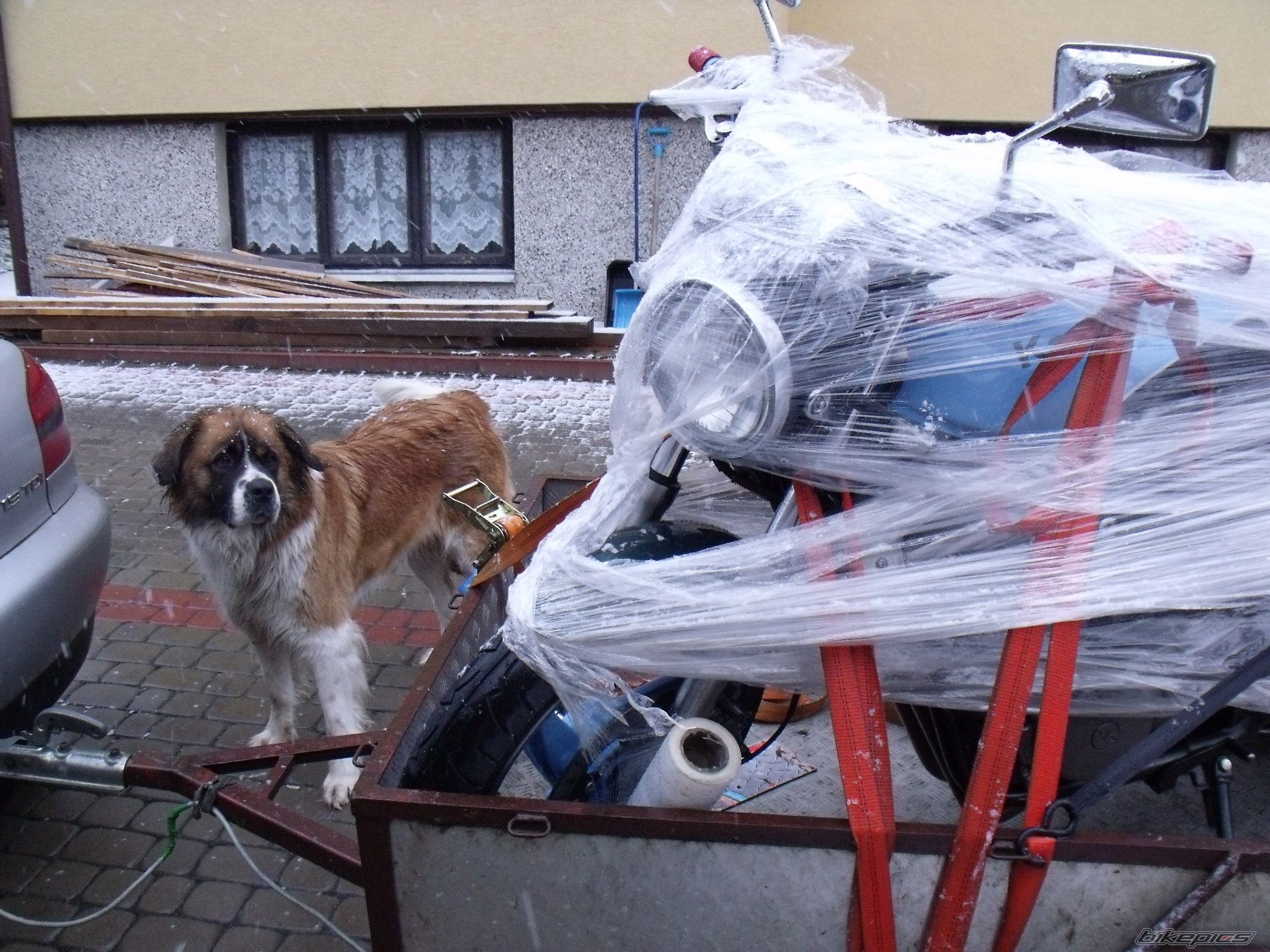 Photo 2537273