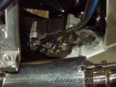 Photo 253729