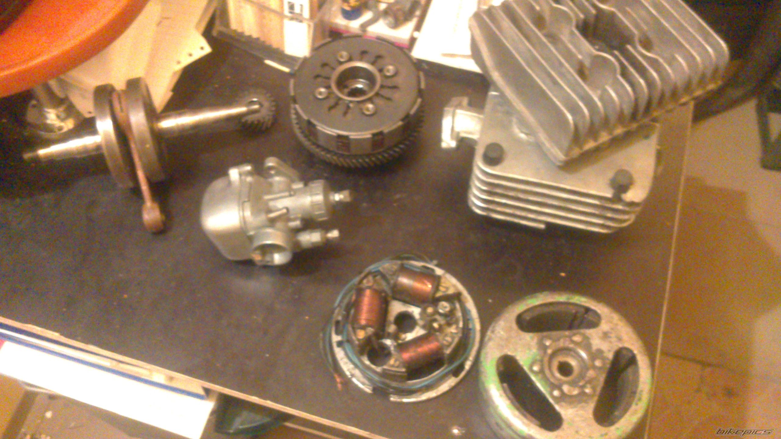 Photo 2537308