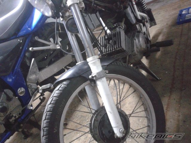 Photo 2537330