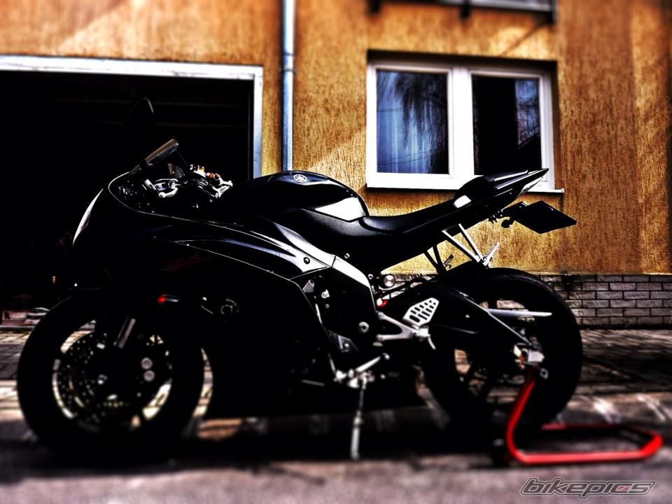 Photo 2537363