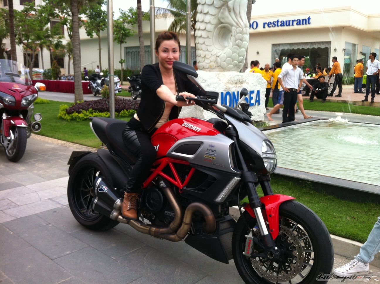 Photo 2537379