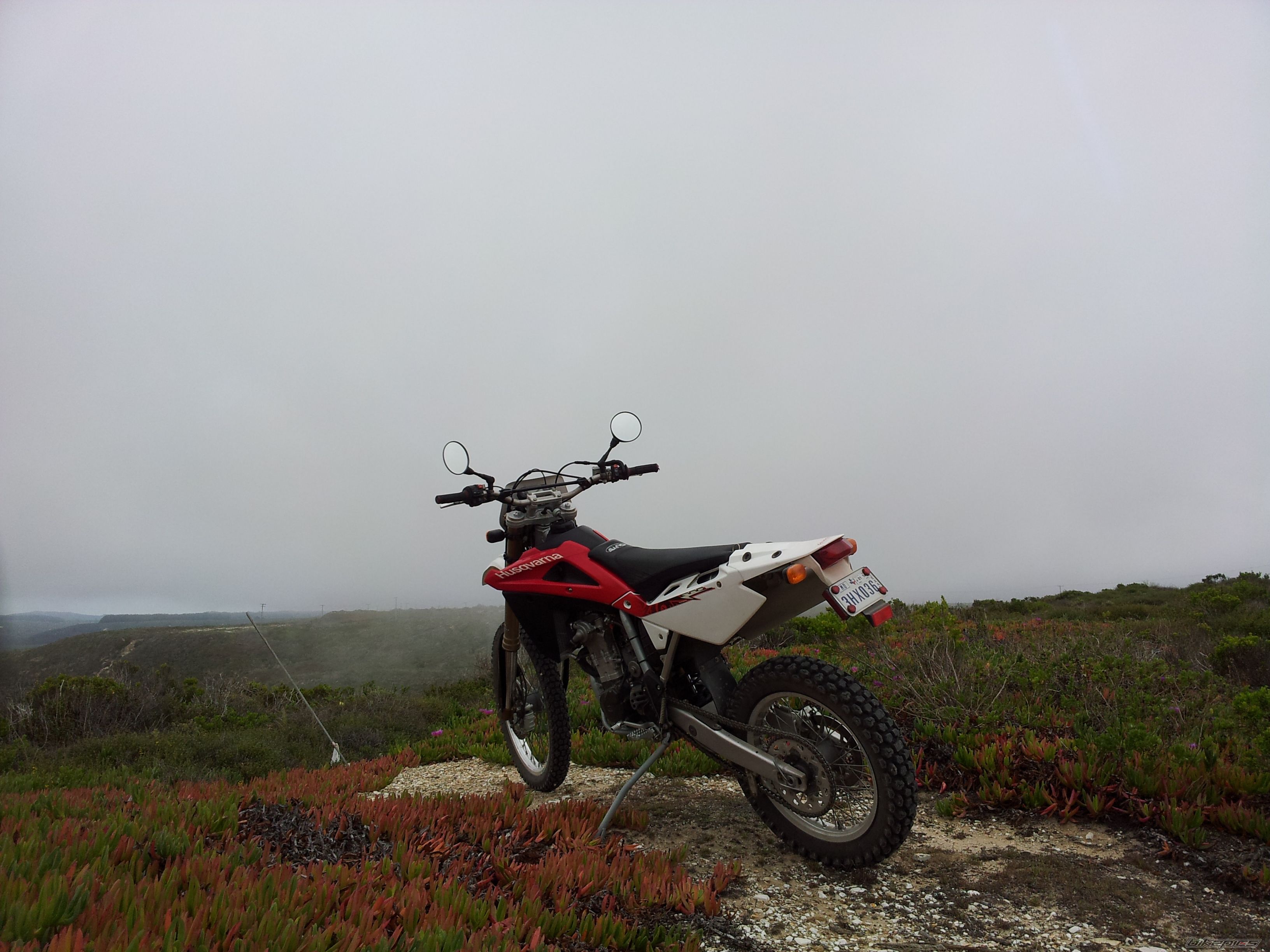 Photo 2537389