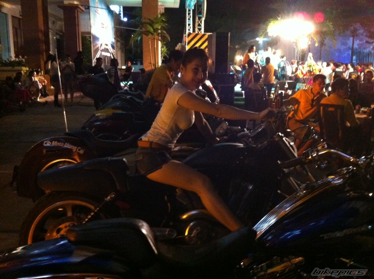 Photo 2537411